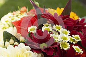 Colorful spring bouquet flowers with roses, chrysanthemum and camomile. Beautiful flower gift. Template for design. Copy space