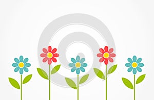 Colorful spring daisy flowers background