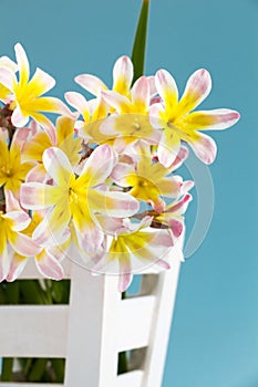 Colorful spring flower bouquet, in white wooden container.