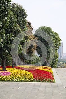Colorful spring flowers arranged in Nanning Five Elephants Park