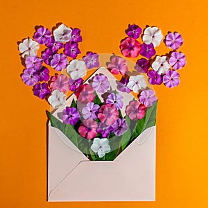 Colorful spring flowers in envelope, flower delivery and love concept