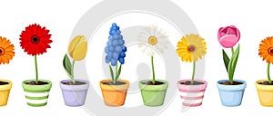 Colorful spring flowers in pots. Vector horizontal seamless background.