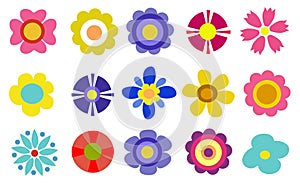 Colorful spring flowers vector illustration