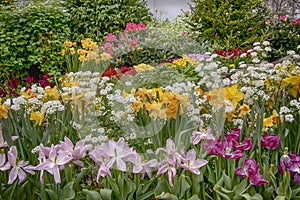 Colorful spring garden in full bloom