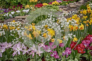 Colorful spring garden in full bloom