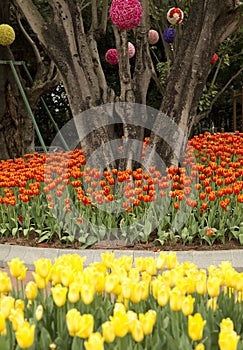 Colorful spring garden in Nanning Qingxiu mountain