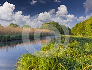 Colorful spring landscape on misty river