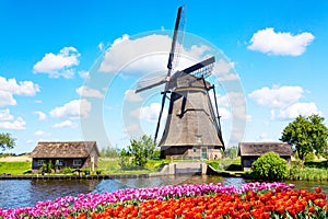 Colorful spring landscape in Netherlands, Europe. Famous windmill in Kinderdijk village with a tulips flowers flowerbed in Holland