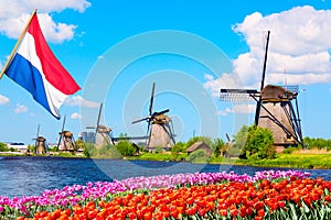 Colorful spring landscape in Netherlands, Europe. Famous windmills in Kinderdijk village with a tulips flowers flowerbed in