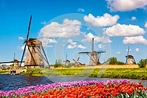 Colorful spring landscape in Netherlands, Europe. Famous windmills in Kinderdijk village with a tulips flowers flowerbed in photo