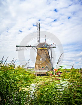 Colorful spring landscape panorama in Netherlands