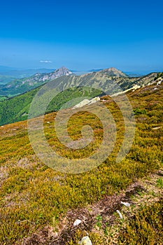 Farebná jarná horská krajina Malej Fatry, Slovensko