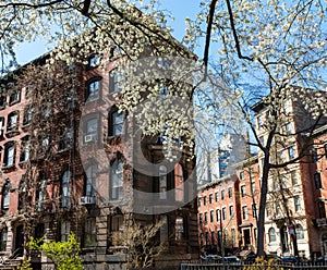 Colorful spring scene in the East Village of New York City with photo
