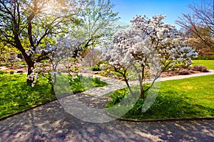 Colorful spring sunrise in the botanical garden of Essen town