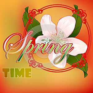 Colorful spring time scene background with blossom flower