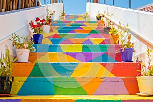 Colorful stairs with flower pots In the street in Tunis, Tunisia