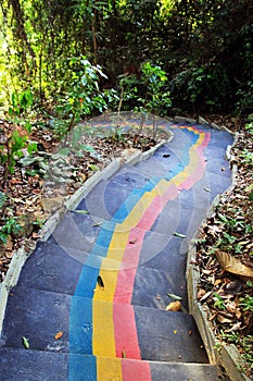 Colorful stairs in jungle in a park, top view.