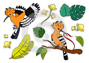 Colorful sticker pack with the hoopoes, plants and flowers. Wild birds.