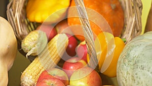 Colorful still-life. Autumn harvest. 4k. Moving focus. Close-up