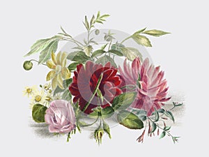 Colorful still life of flowers 1850, an arrangement of beautiful flowers. Digitally enhanced by rawpixel