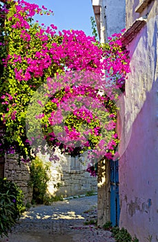 Colorful and stone houses in narrow street in Alacati cesme