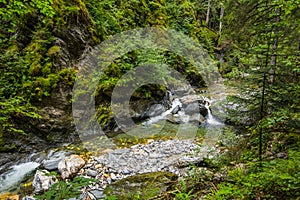 colorful stones in a clear torrent