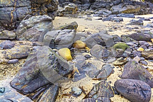 Colorful stones at higer bal cove photo