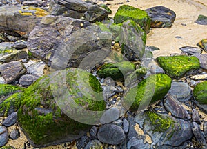 Colorful stones at higer bal cove photo