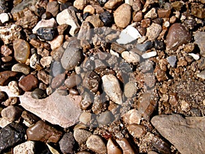 Brown stones on the sand of north river photo