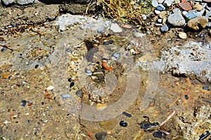 Colorful stones, sand and water background