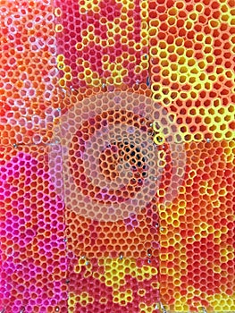 Colorful straw background