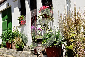 Colorful street detail. White stucco facade. Potted blooming flowers along the wall. Gray cobblestone sidewalk. streetscape