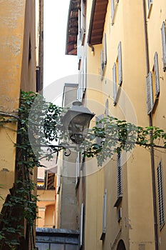 Colorful Streets of Bologna photo