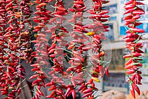 Colorful strings of peppers for sale at Porto market (Mercado do Bolhao