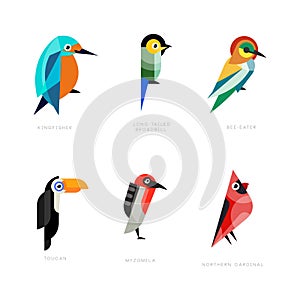 Colorful Stylized Birds Collection with Kingfisher, Long-tailed Broadbill, Bee-eater, Toucan, Myzomela and Northern