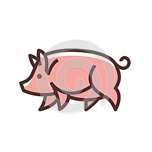 Colorful stylized drawing of pig