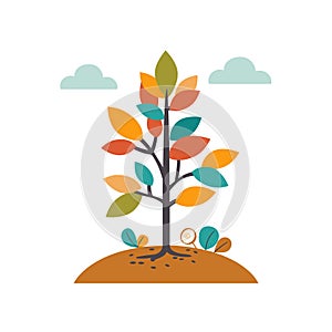 Colorful stylized tree vector illustration, autumn fall concept. Simplistic design, seasonal plant photo