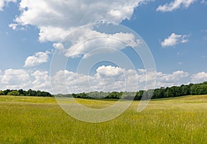 Colorful summer field under blue Muskoka sky