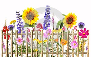 Colorful summer flowers with wooden fence, transparent background