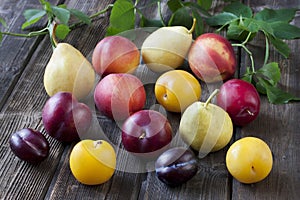 Colorful summer fruits on wooden table