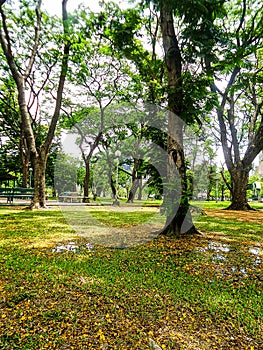 Colorful summer garden in Bangkok