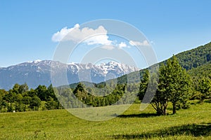 Colorful summer landscape in the mountain village