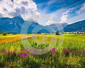 Colorful summer morning on the Golfclub Zugspitze