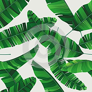 Colorful summer seamless tropical pattern with banana leaves