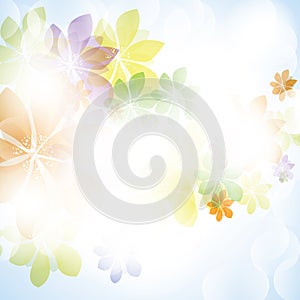 Colorful summer spring background with flowers