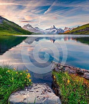 Colorful summer sunrise on Bachalpsee lake with Schreckhorn and