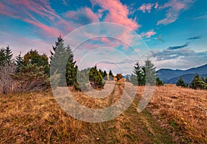 Colorful summer sunset in Carpathian mountains. Landscape photography.