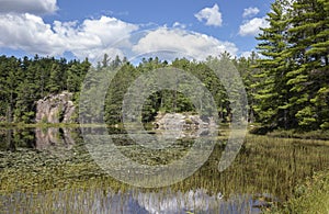 Colorful summer vegetation and rocks at a pond in Haliburton Ontario