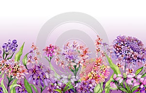 Colorful summer wide banner. Beautiful vivid iberis flowers with green leaves on pink background. Horizontal template.