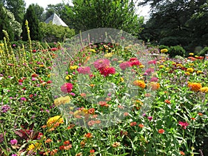 Colorato estate sul vescovi giardino 